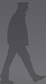 iViewSystems Walking Shadow