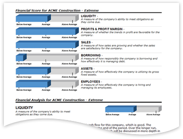 Sample of the narrative financial analysis reports